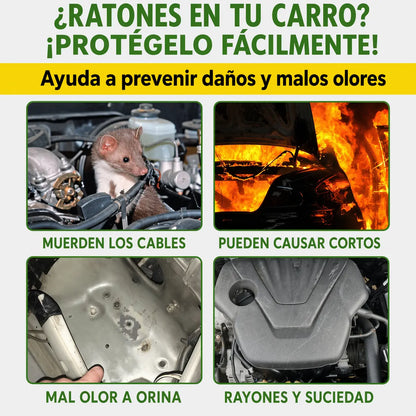 Sin ratones, sin daños, sin infecciones.