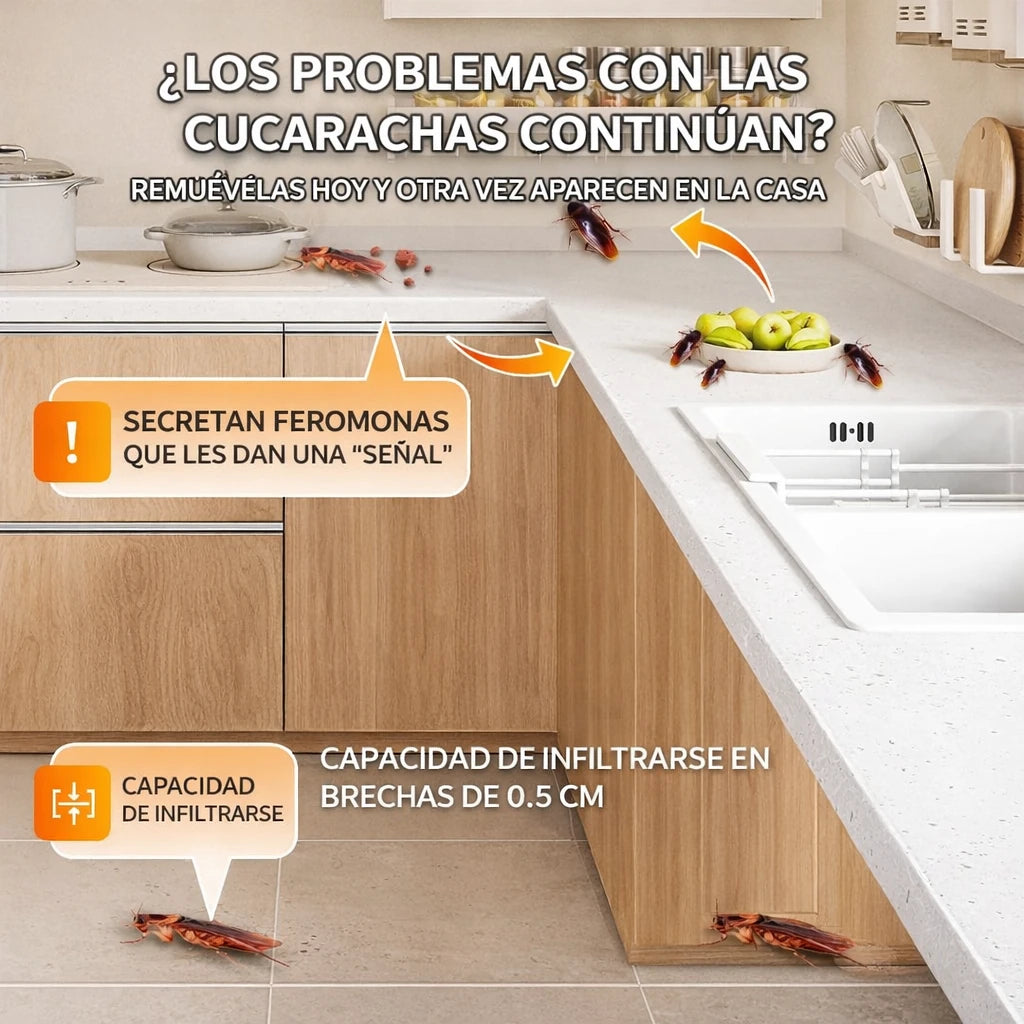 Olvídate de las cucarachas en tu hogar y recupera la tranquilidad en cocina y baño.
