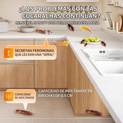 Olvídate de las cucarachas en tu hogar y recupera la tranquilidad en cocina y baño.